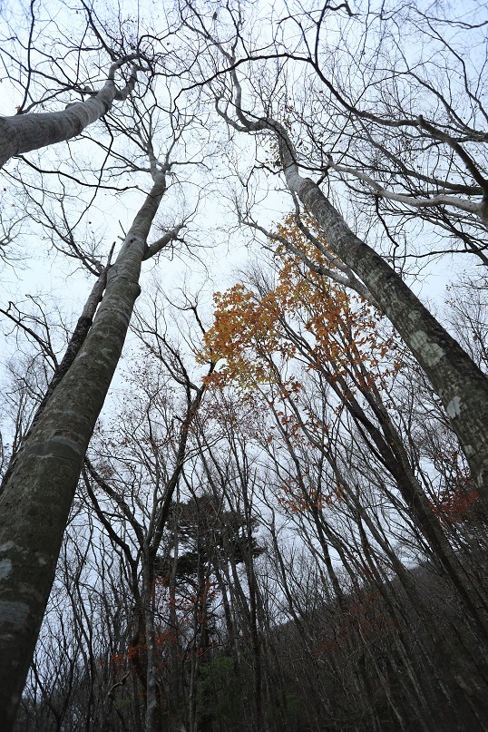 e0304170_20351981.jpg