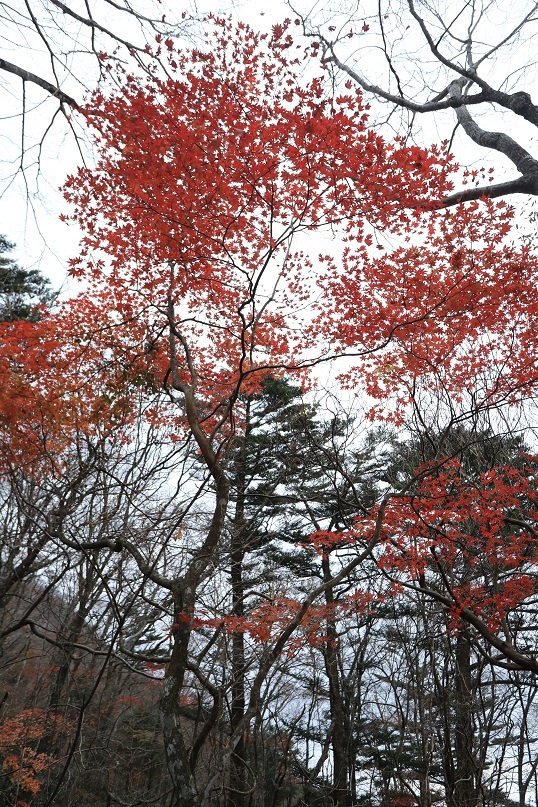 e0304170_20352975.jpg