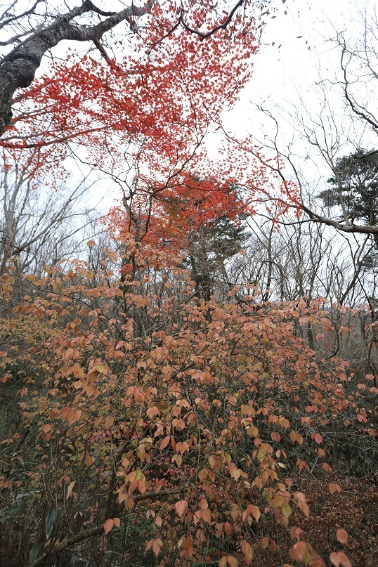e0304170_20353951.jpg