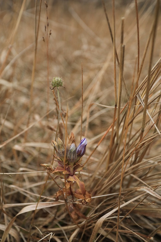 e0304170_20362911.jpg