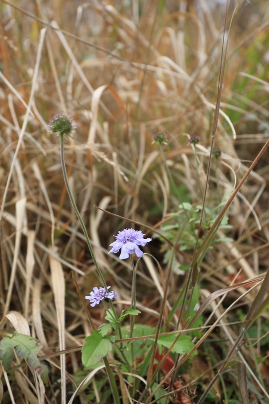 e0304170_20363685.jpg