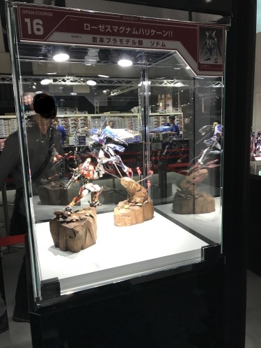 GBWC2017レポート③_c0148472_16350472.jpg