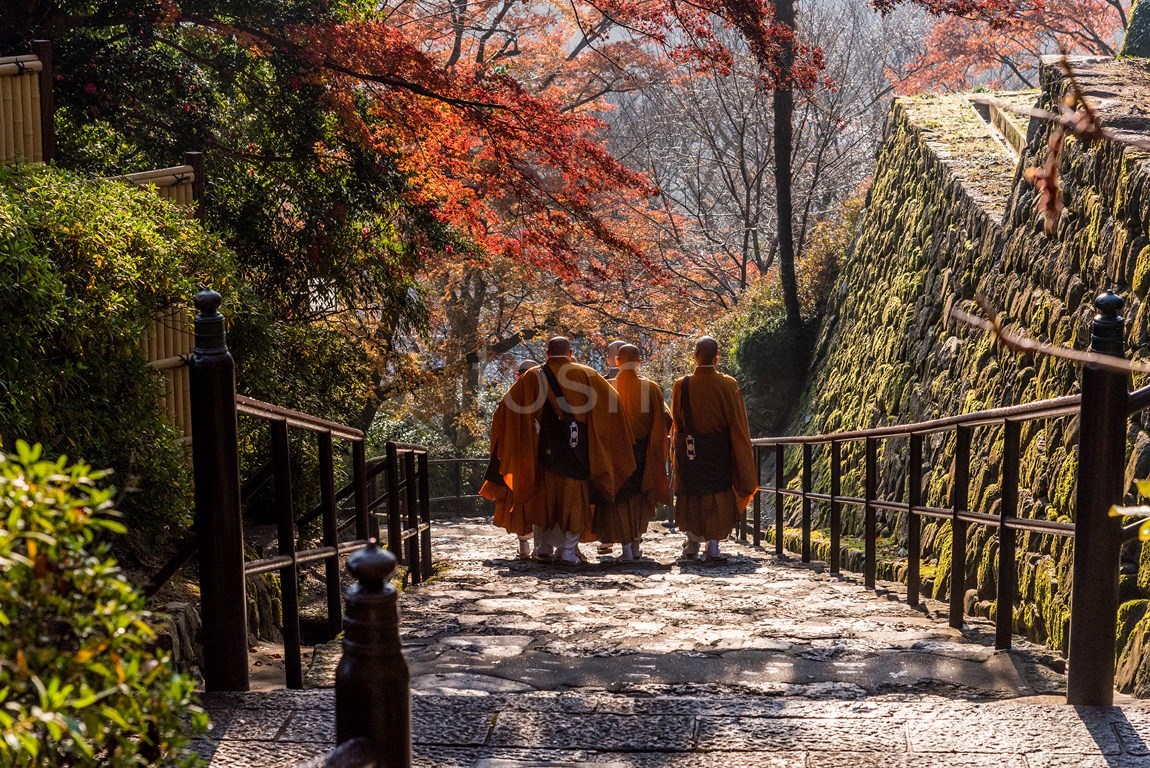 やはり行きました　長谷寺_c0350572_14362300.jpg