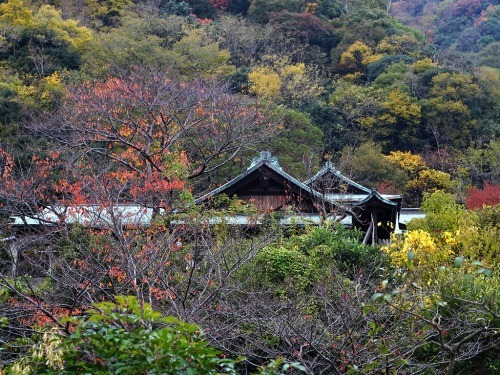 遊歩ー神戸・北野町界隈を歩く_c0362972_11133038.jpg