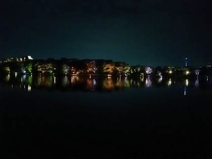 a0257080_22312552.jpg