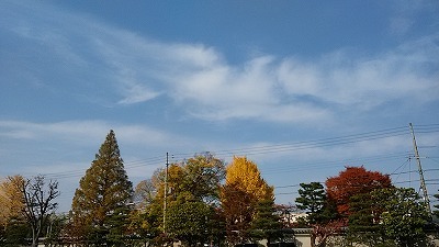 晩秋の京都_f0215580_11202940.jpg