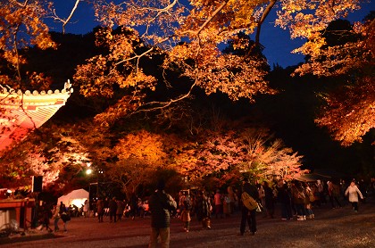 観心寺　灯里と和太鼓「響」_c0229483_22133190.jpg