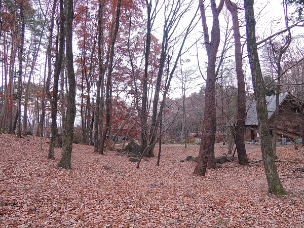 高根町K島さん邸の現場より 2_a0211886_19572142.jpg