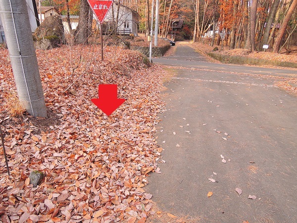 高根町K島さん邸の現場より 2_a0211886_22583449.jpg