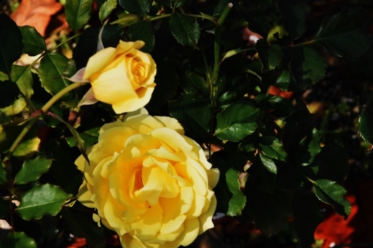 b0329186_09200256.jpg