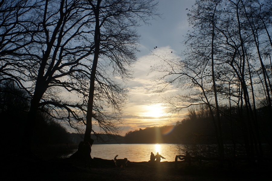 c0180686_14125527.jpg