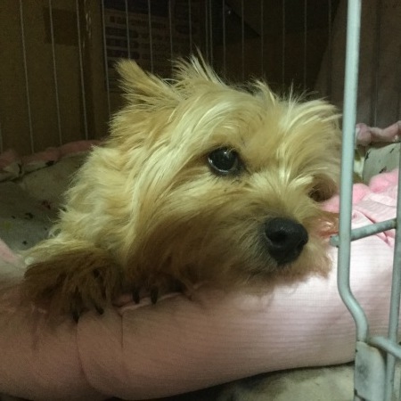 b0091187_21402937.jpeg