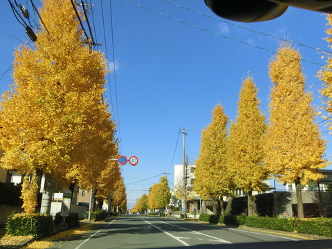 健軍神社（熊本市）_d0257697_19514041.jpg