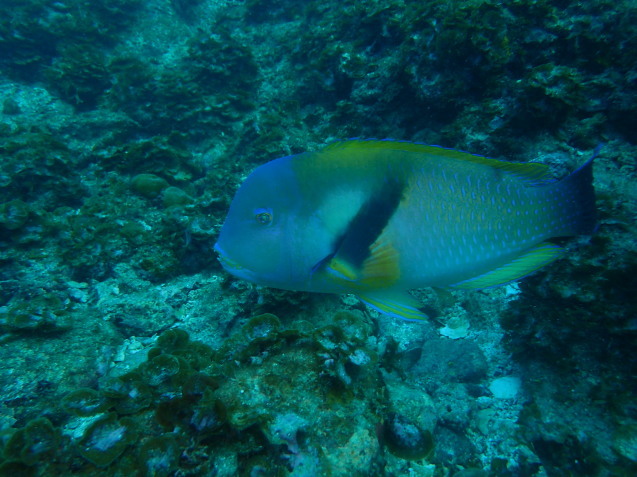 e0115199_14570233.jpg