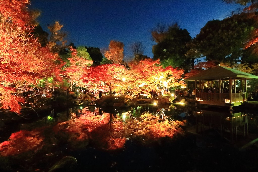 大田黒公園 紅葉ライトアップ 飛行機 鉄道写真館