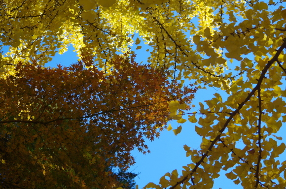 b0356401_20105303.jpg