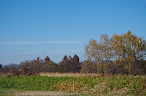 b0356401_20161933.jpg
