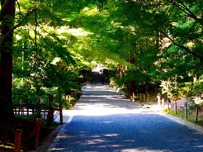 c0362401_08215792.jpg