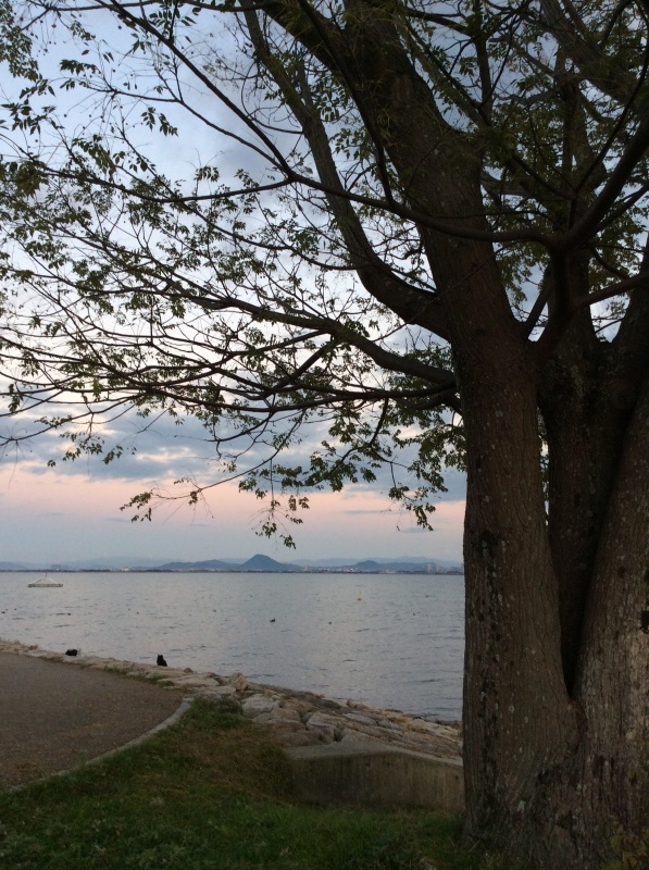 b0220002_22311256.jpeg