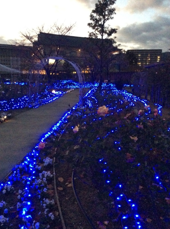 b0220002_22315769.jpeg