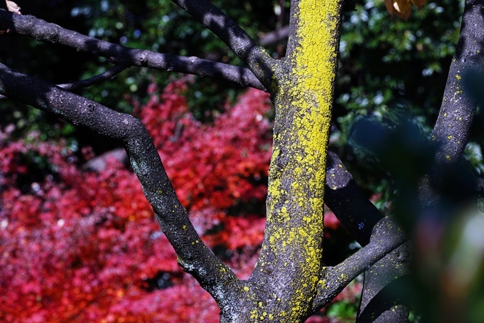 c0187503_18191166.jpg
