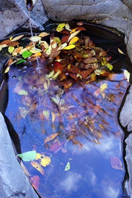 c0187503_18390416.jpg