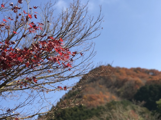 c0212604_17552334.jpg