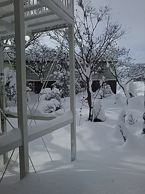 f0316507_09500449.jpg