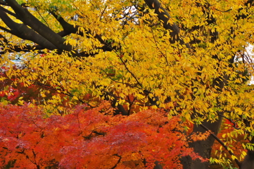 a0263109_15515368.jpg