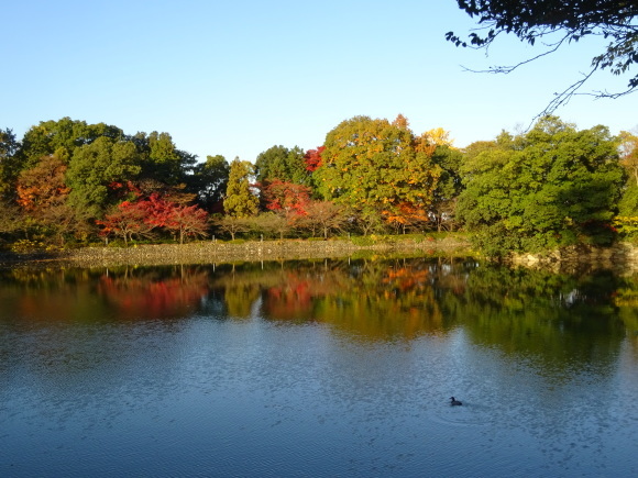 f0231709_22580021.jpg