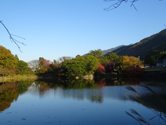 f0231709_23165595.jpg