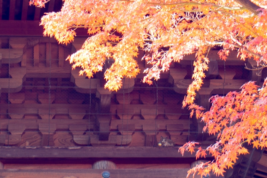 c0186410_19280500.jpg