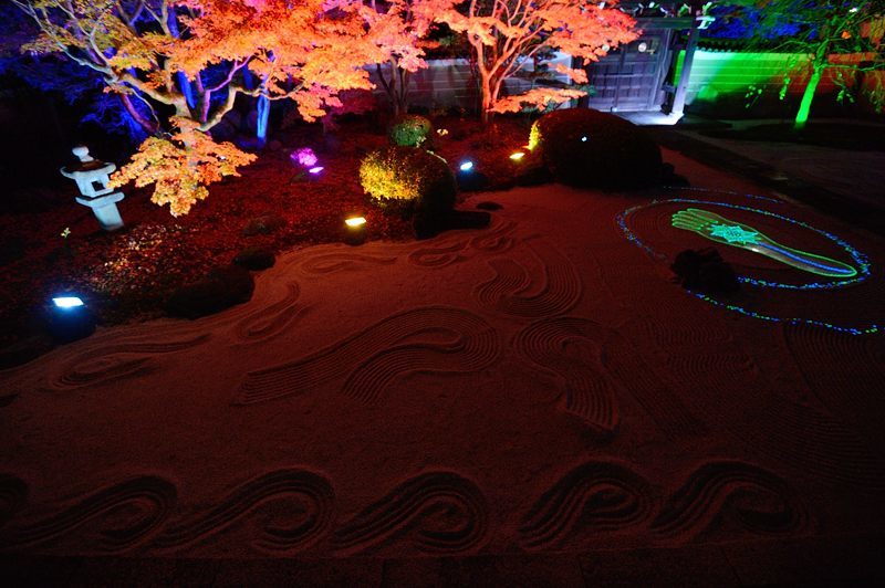 2017京都の紅葉・上京区 妙顕寺ライトアップ_f0032011_20563398.jpg