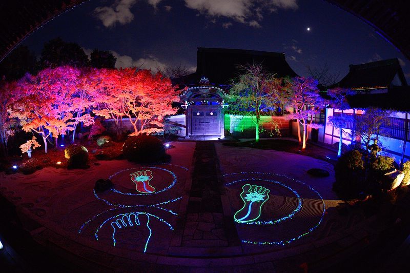 2017京都の紅葉・上京区 妙顕寺ライトアップ_f0032011_20563495.jpg