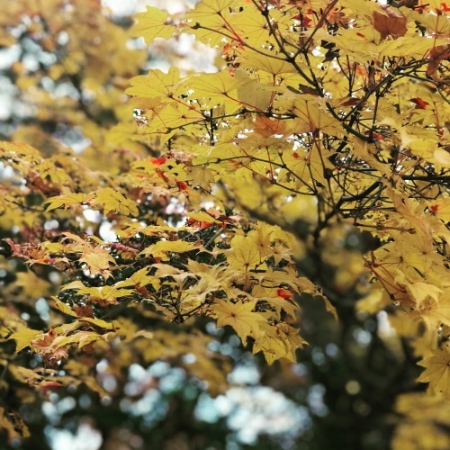c0026612_09330965.jpg