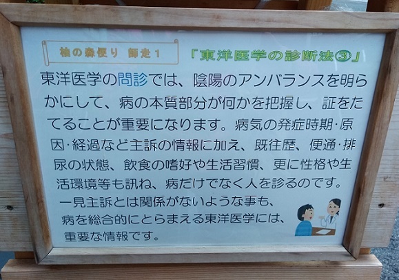 東洋医学の診断法③_f0354314_15204898.jpg