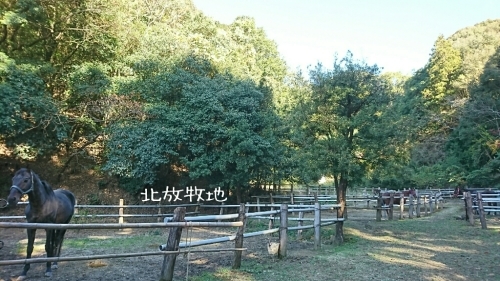 b0187620_20514509.jpg