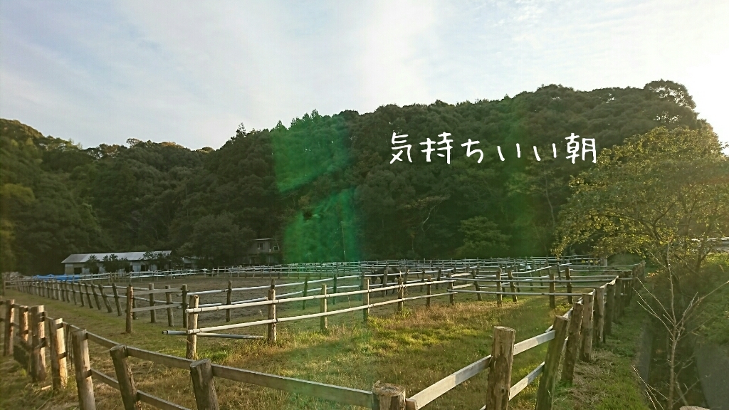 b0187620_20515150.jpg