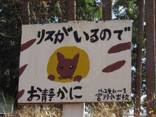 e0242721_10361211.jpg