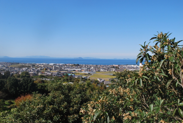 枇杷の花咲く丘_f0176521_15440748.jpg