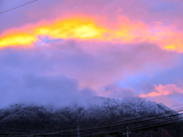 d0066822_12471433.jpg