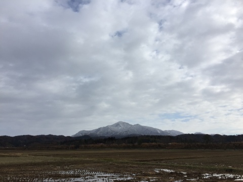 f0149422_12492458.jpeg