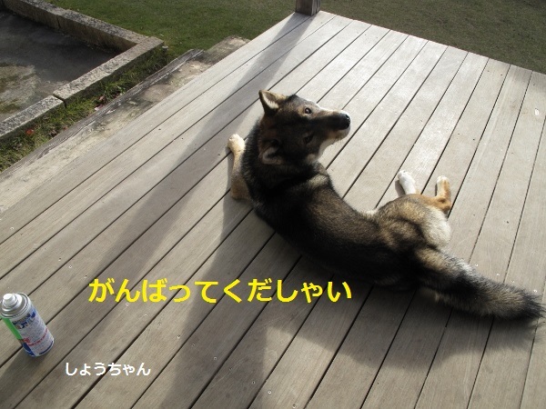 f0143123_09453134.jpg