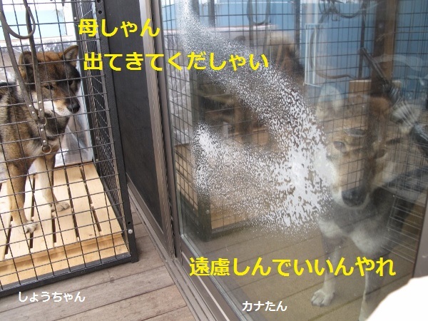f0143123_09530988.jpg