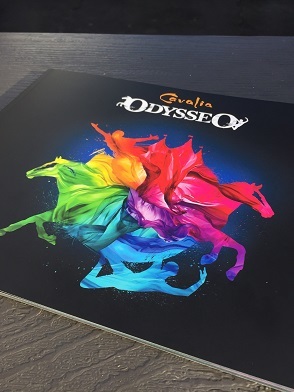 Odysseo_b0368324_04062376.jpg