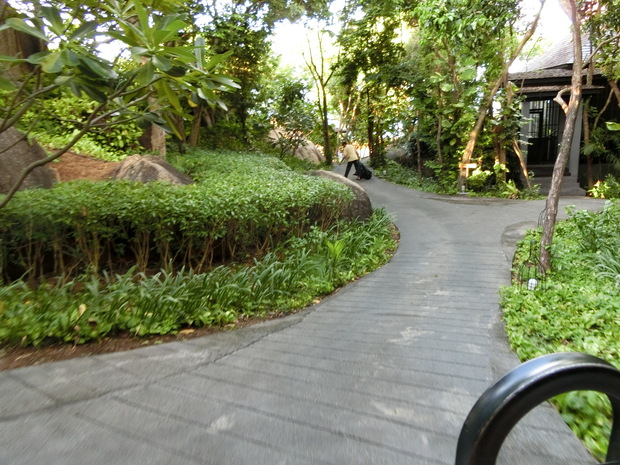 c0095424_10325820.jpg