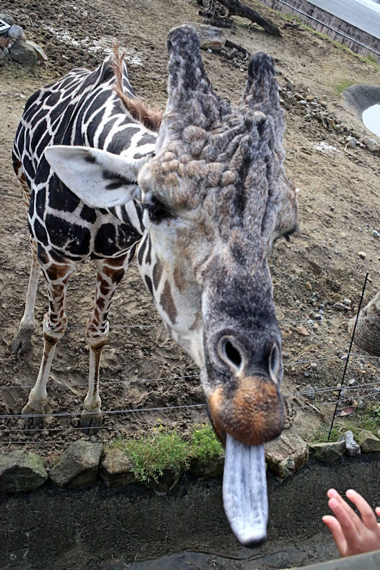 f0224624_05201206.jpg