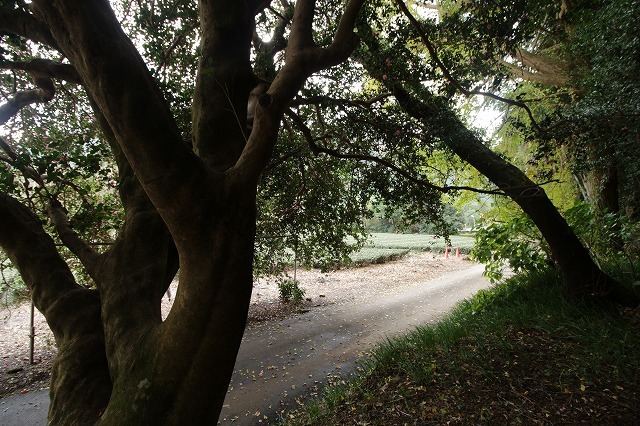 e0321325_19021659.jpg