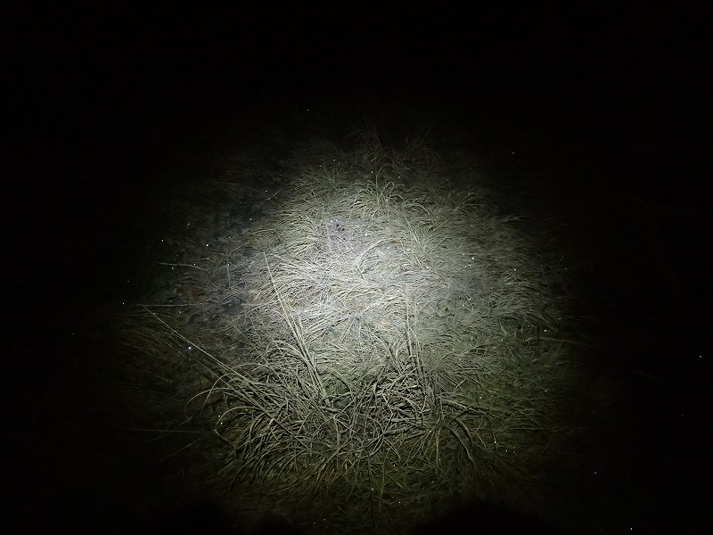 e0284726_10343224.jpg