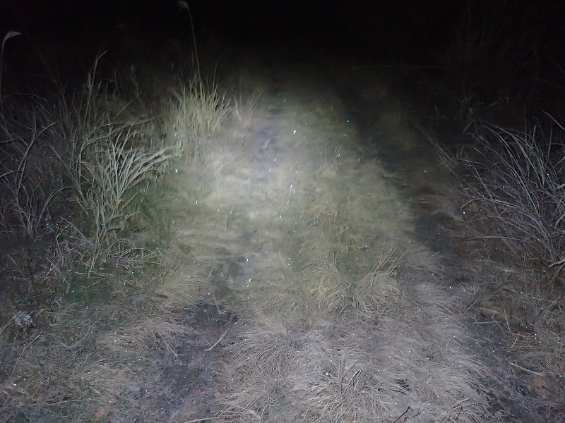 e0284726_1034401.jpg